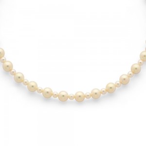 Collier Perles de culture Akoya Japon Chocker Or jaune