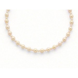Collier Perles de culture Akoya Japon Chocker Or jaune-1